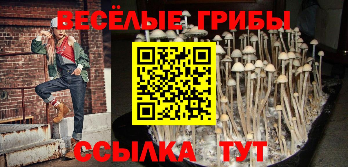 Сызрань  Галлюциногенные грибы Magic Shrooms  Вход с VPN  Галлюциногенные грибы MAGIC MUSHROOMS 